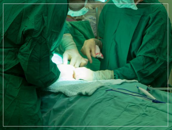 Our Surgical Procedure Our Surgical Procedure