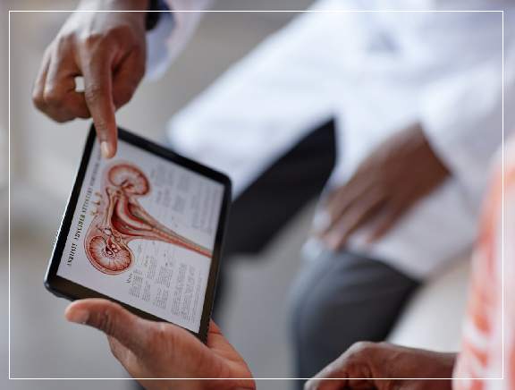Urology Overview